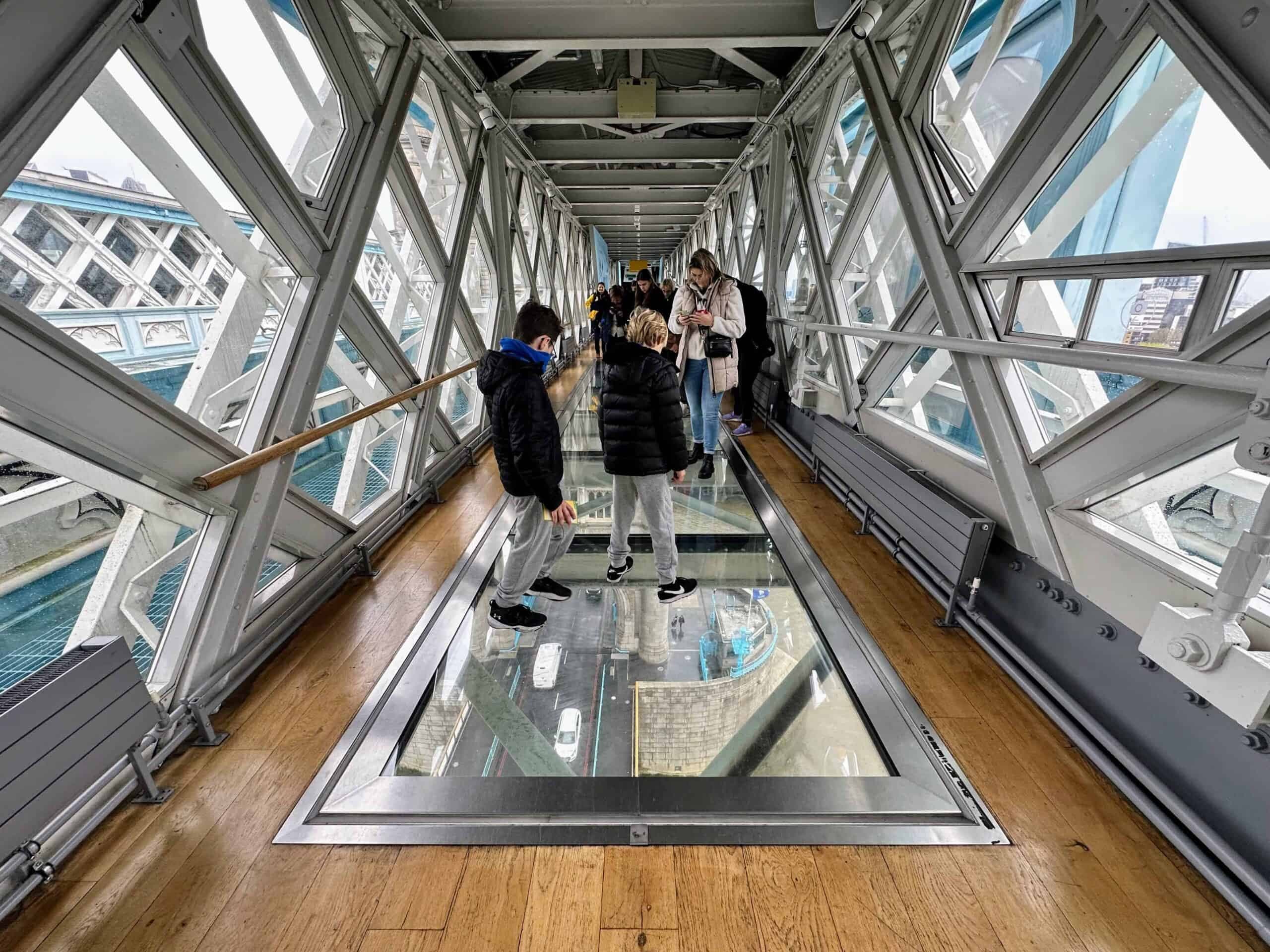 Educational Experience